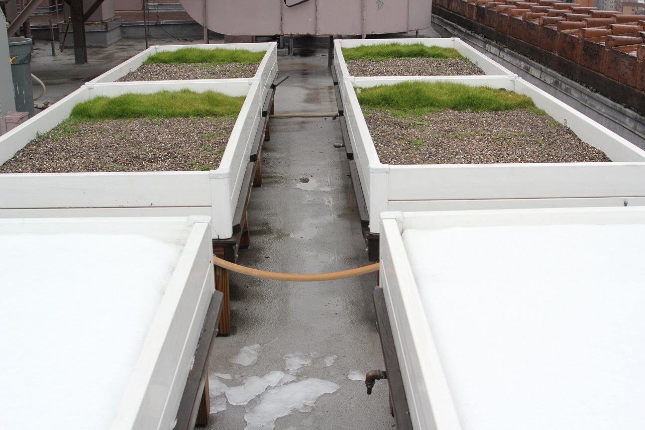 Heated Gardens and Green Roofs